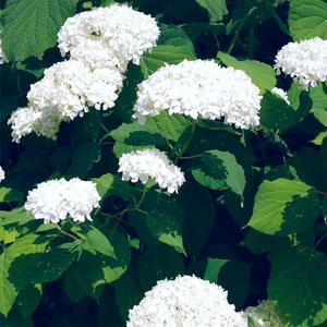 朴智妍被c到高潮下不了床
